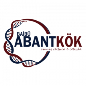 ABANTKÖK