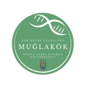 MUĞLAKÖK