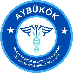 AYBÜKÖK